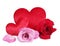 Red roses with pillow heart image