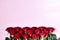 Red roses on pink background. Copy space. Flat lay. Mothers day,valentines day,womans day concept.