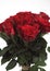 RED ROSES FOR SAINT VALENTINE`S DAY