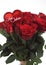 RED ROSES FOR SAINT VALENTINE`S DAY