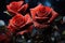 Red roses surrounded by cosmic splendor, valentine, dating and love proposal image