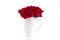 red roses in a white vase