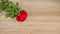 Red roses on wooden background.