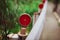 Red round road reflector stands on the road on a serpentine road in the mountains