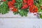 Red rowanberries with leaves on white paint background