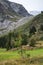 Red rowanberry in green norway mountains landscape. Bright colors natural vertical summer cloudy view. Wild berries. green fields