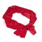 Red Rubber Exercise Band Isolated