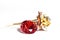 red ruby diamonds and golden flower on white background