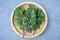 Red Russian Kale on Wooden Plate Overhead View