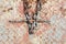 Red rust iron background with chain like cross