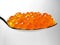 Red salmon caviar