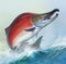 Red salmon on white background jumps out of water, spawning fish, red caviar. Red salmon realistic illustration. Big red fish on