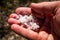 Red salt production in Puerto Rico lake