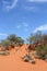 Red sand dunes in the desert, Red Centre of Australia