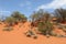 Red sand dunes n the desert along the Lasseter Highway, Australia