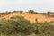 Red sand dunes in St. Lucia wetlands park in South Africa