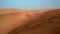 Red sand ripples barkhan flight toward oasis with water on warm evening light in Liwa, UAE, small green desert plant