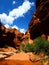 Red sandstone canyonwith stream and clouds in Coyote Gulch, Escalante, Utah