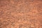 Red sandstone desert rock background, texture