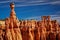 Red Sandstone hoodoos in Bryce canyon national park, US