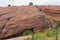 Red Sandstone Monolith at Red Rocks