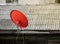 Red satellite dish is attached to the old wooden house