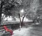 Red scarf on the bench, autumn background