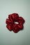 Red Scrunchies hair band for women . Fashion trend .