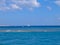 Red sea in Egypt reef, sailboat with blue sails and white yacht