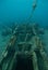 Red sea shipwreck SS Thistlegorm