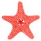 Red sea star fish. Vector Illustration