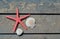 Red sea star, shell and stone