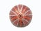 Red sea urchin shell on white background