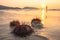 Red sea urchins on Patong beach during sunset.