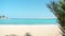 Red Sea waves running on sandy beach, extreme wide shot. Green palm tree branch swinging in the wind. Photographed in