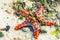 Red seastar on a sandy beach in alga during low tide. Nungwi, Zanzibar, Tanzania