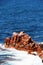 Red sedimentary sea cliff, miniature style