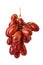 Red seedless table grapes