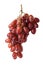 Red seedless table grapes