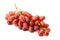 Red seedless table grapes