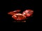 Red semiprecious stone of marquise shape