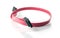 Red Serial-ATA cable isolate on white background