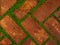 Red shaded bricks with gaps filled by leafy green growth