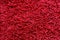 Red shag carpet