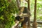 Red-shanked Douc Langur in the cage.