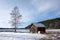 Red shed and birch in wintry landscape