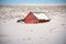 Red Shed In Country In Snow