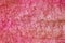 Red sheepskin texture, fur close-up. Background wool of the sheep pink. Texture of colored sheep wool carpet