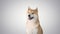 Red shiba inu puppy walking away on gradient background.