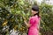 Red shirt girl and loquat